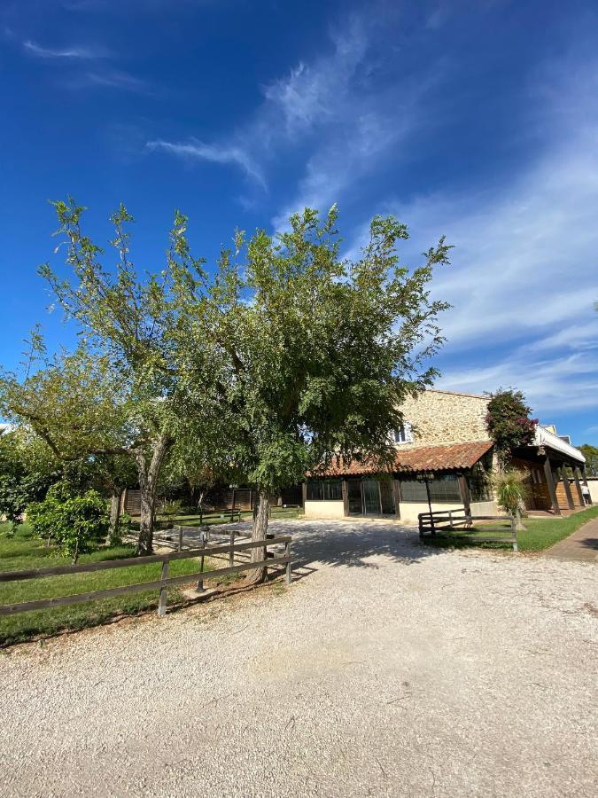 Studio 2 Personnes Vue Marais Salant Parking Et Terrasse Proche Commodite Hyeres Exterior photo